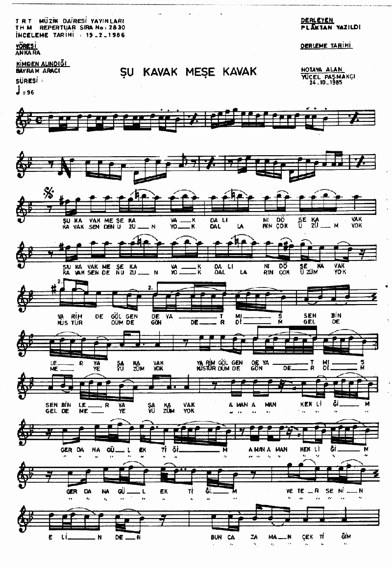 ŞU KAVAK MEŞE KAVAK