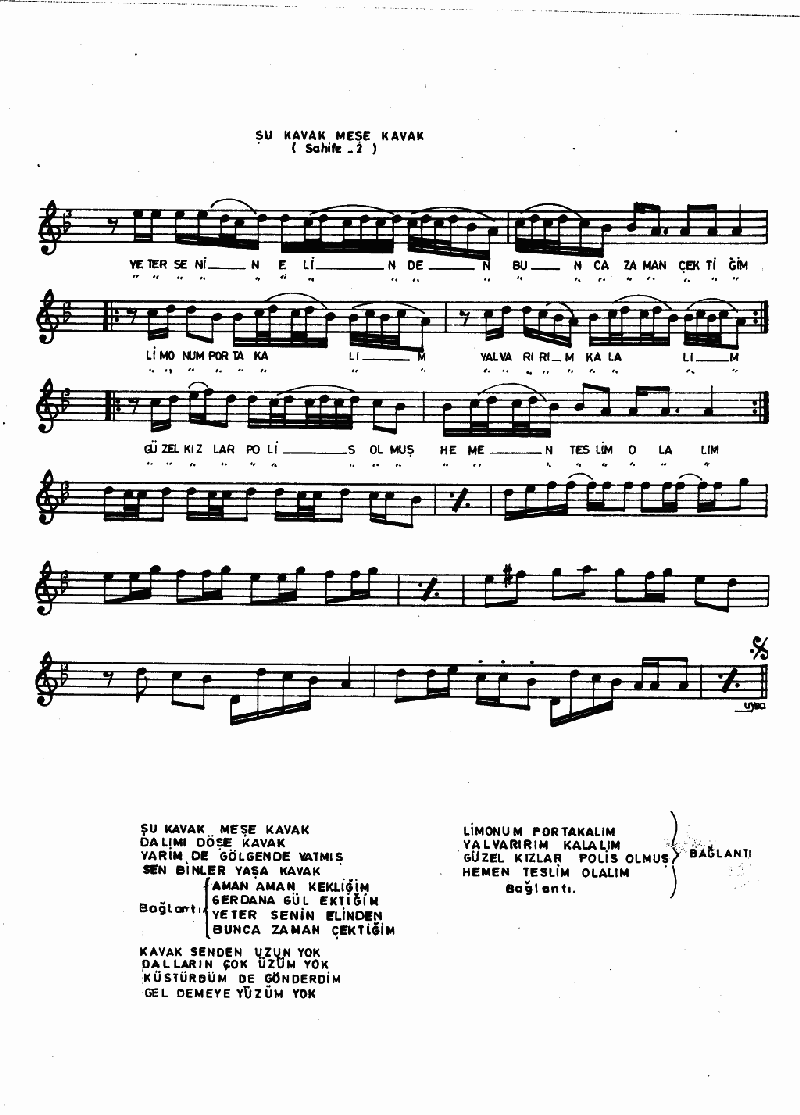 ŞU KAVAK MEŞE KAVAK