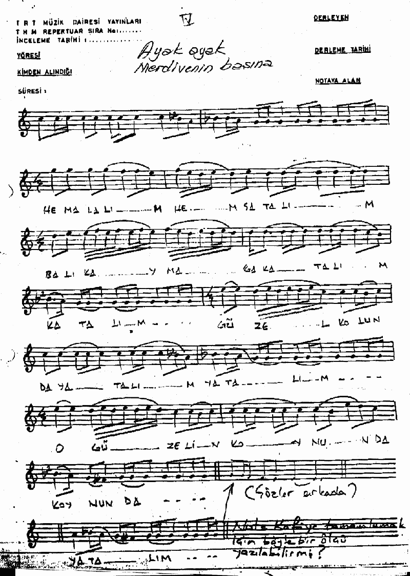 AYAK AYAK MERDİVANIN BAŞINA