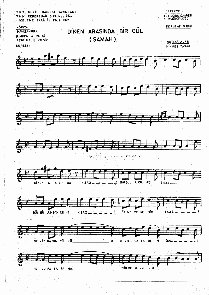 DİKEN ARASINDA BİR GÜL AÇILMIŞ