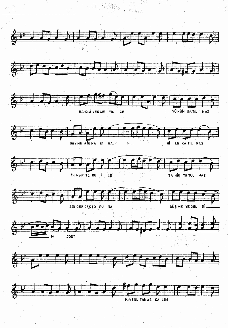 DİKEN ARASINDA BİR GÜL AÇILMIŞ