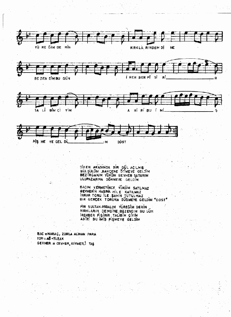 DİKEN ARASINDA BİR GÜL AÇILMIŞ