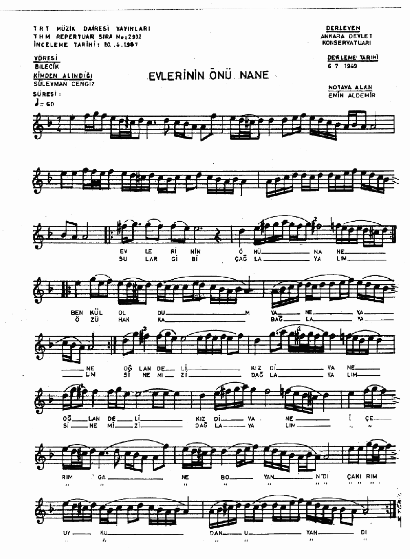 EVLERİNİN ÖNÜ NANE - II