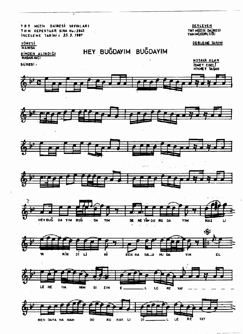 HEY BUĞDAYIM BUĞDAYIM