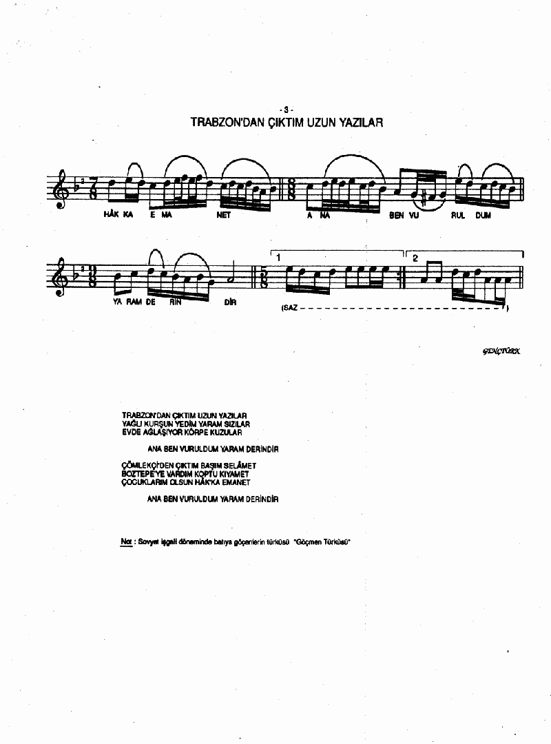 TRABZON'DAN ÇIKTIM UZUN YAZILAR