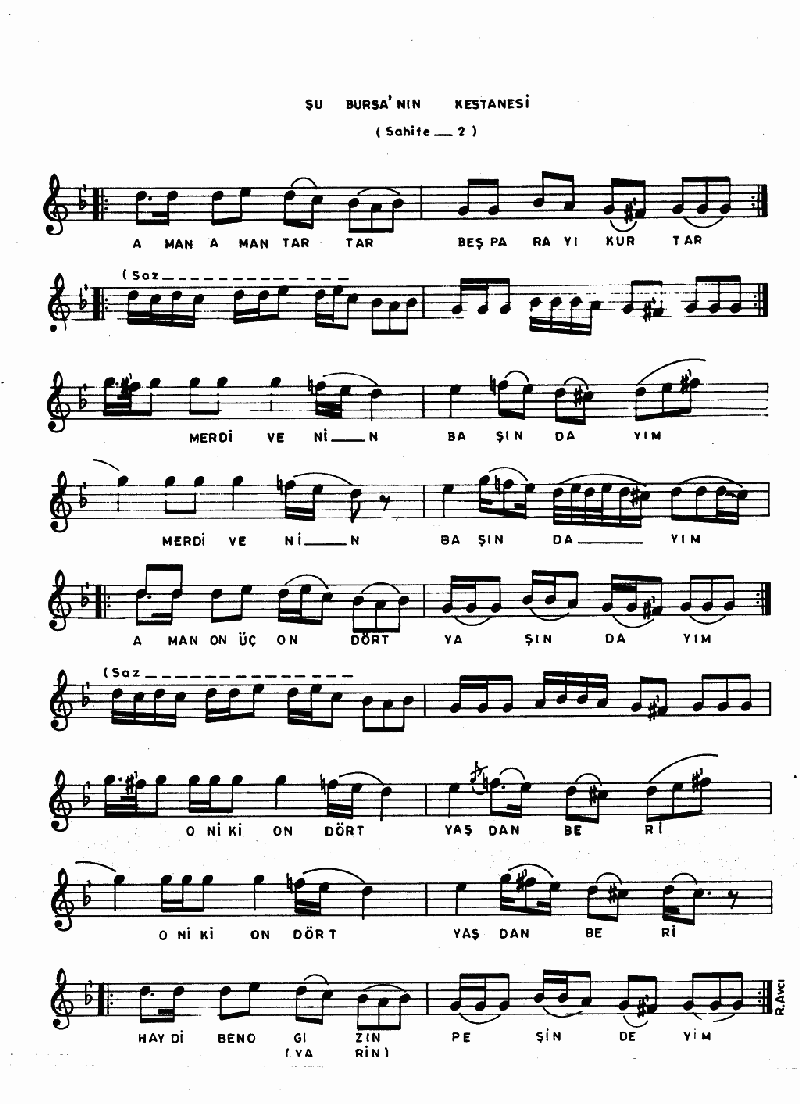 ŞU BURSA'NIN KESTANESİ - II