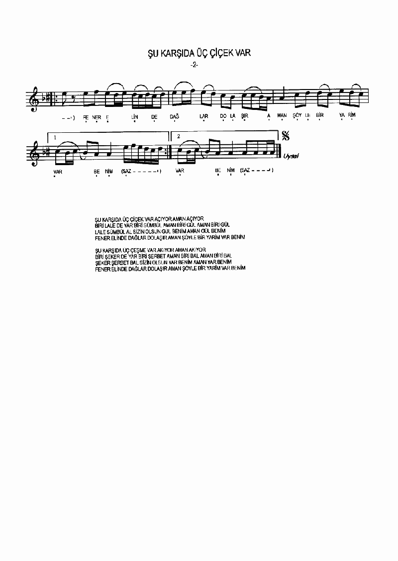 ŞU KARŞIDA ÜÇ ÇİÇEK VAR AÇIYOR