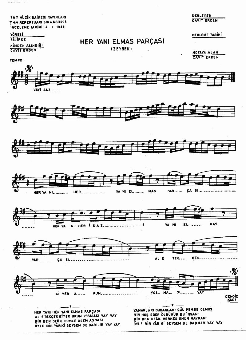 HER YANI ELMAS PARÇASI