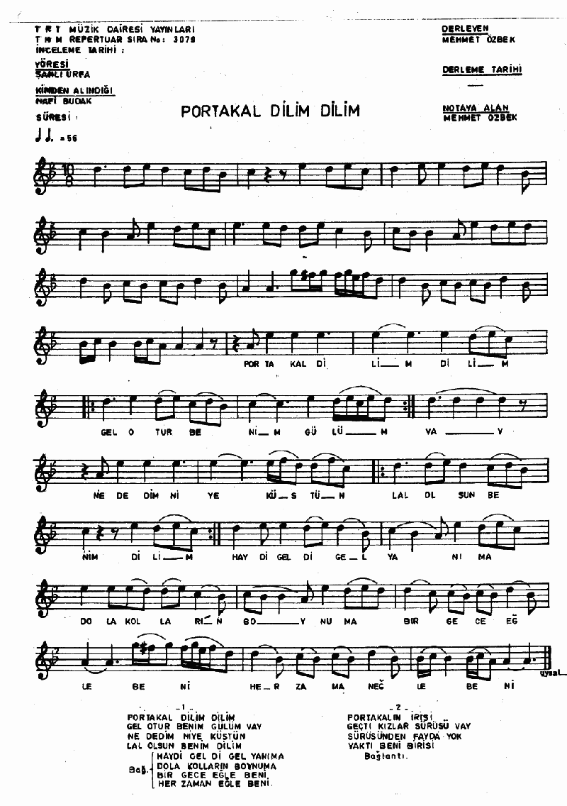 PORTAKAL DİLİM DİLİM - III