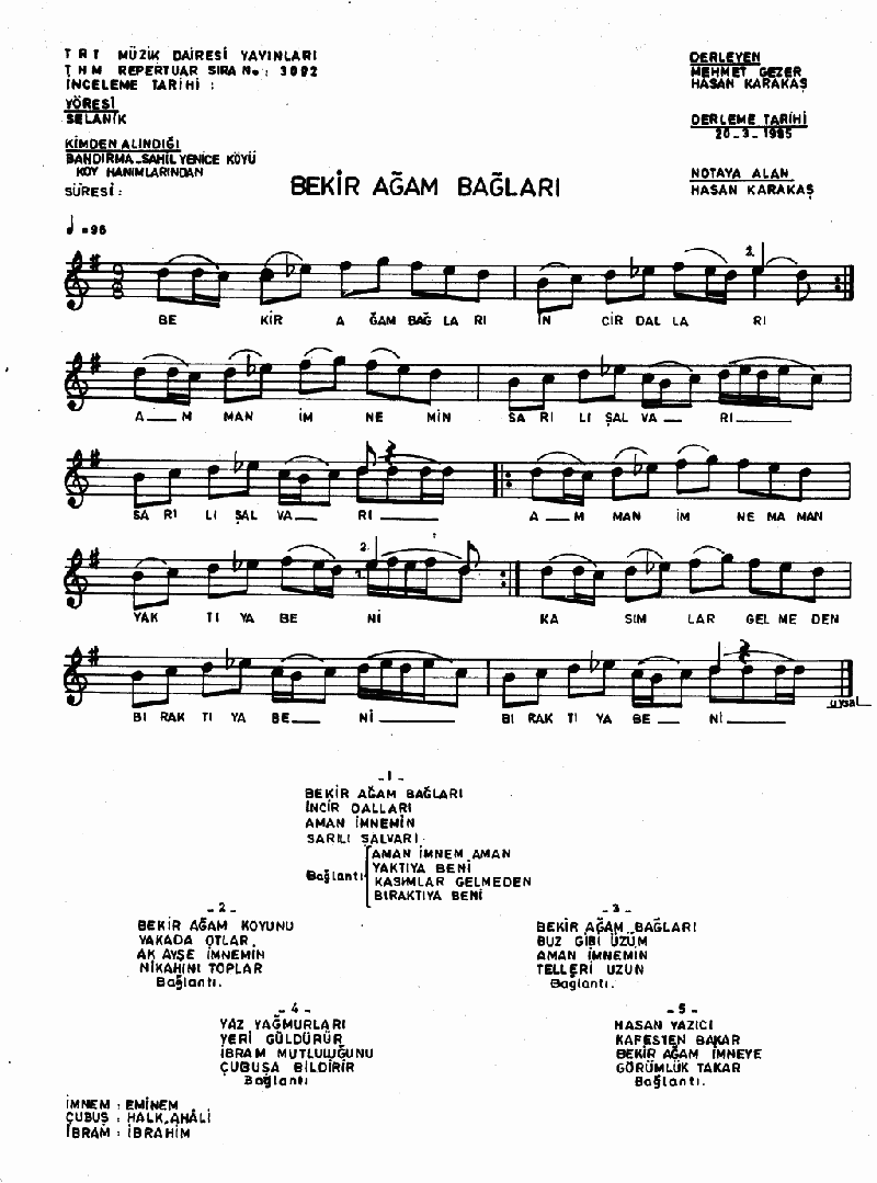 BEKİR AĞAM BAĞLARI İNCİR DALLARI