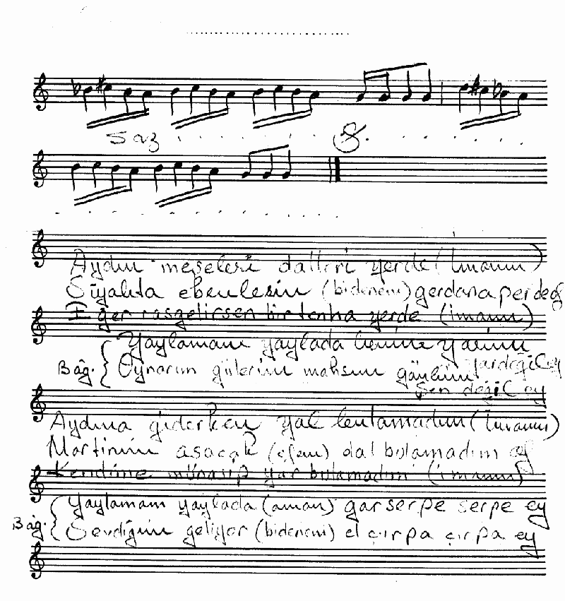 AYDIN MEŞELERİ DALLARI YERDE