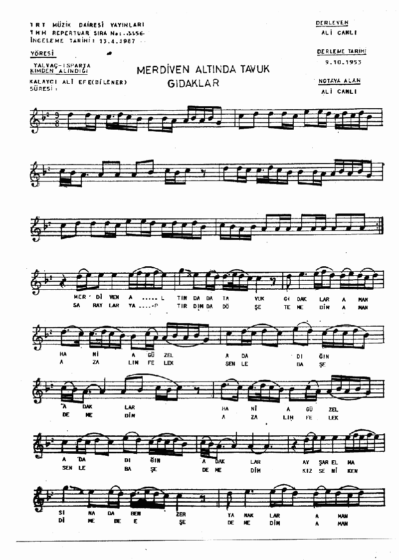 MERDİVENİN ALTINDA TAVUK GIDAKLAR