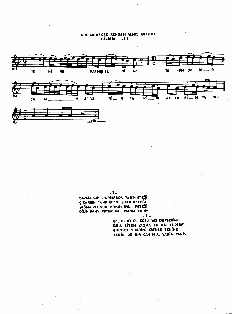 GÜL MENEKŞE SENDEN ALMIŞ KOKUYU
