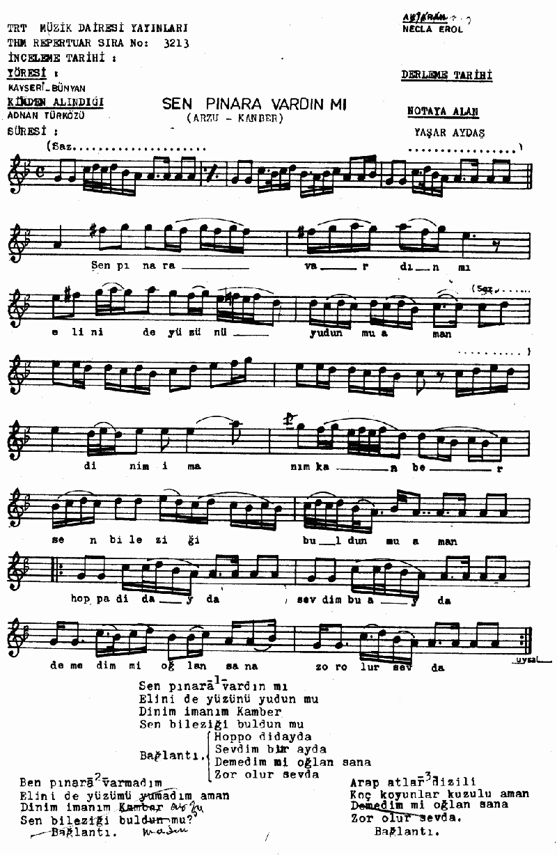 SEN PINARA VARDIN MI