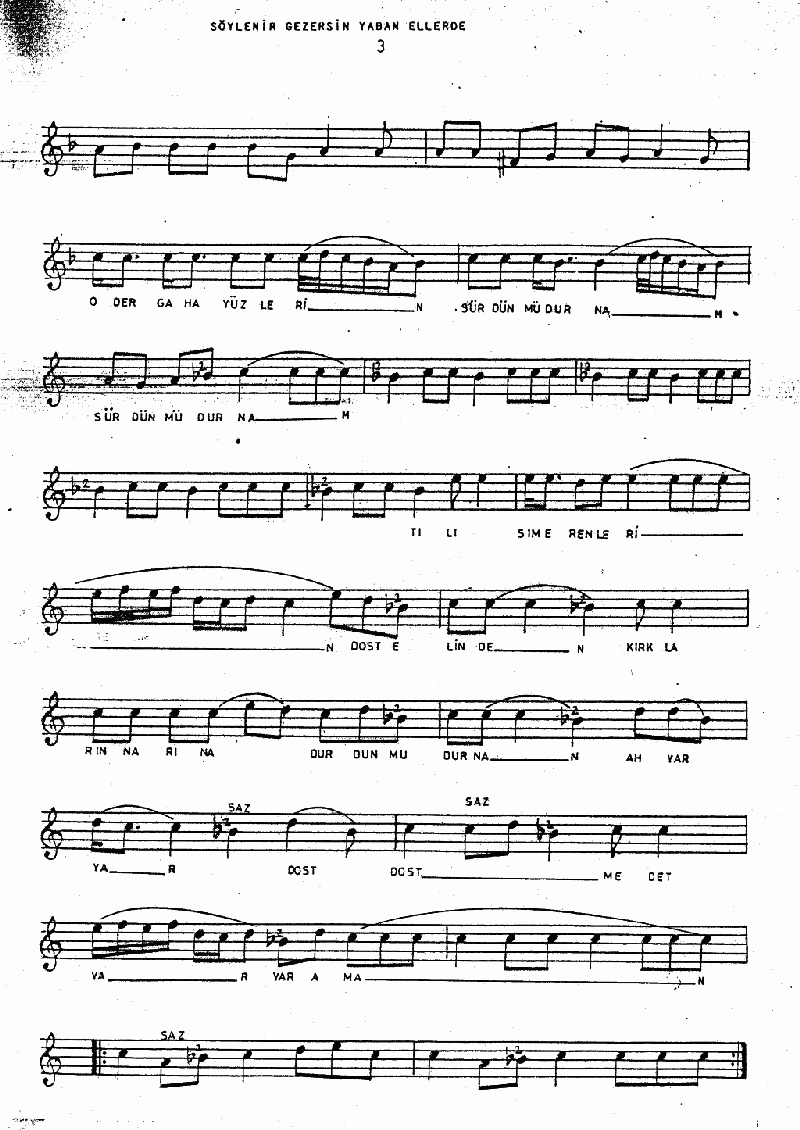 SÖYLENİRSİN GEZERSİN DE YABAN ELLERDE