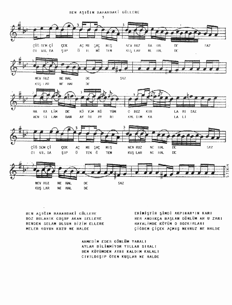 BEN AŞIĞIM BAHARDAKİ GÜLLERE