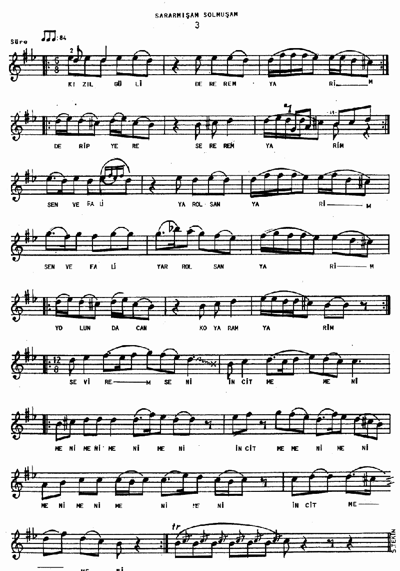 SARARMIŞAM SOLMUŞAM