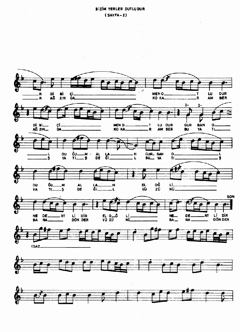 BİZİM YERLER DUTLUDUR