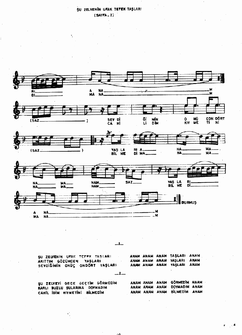 ŞU ZELVENİN UFAK TEFEK TAŞLARI