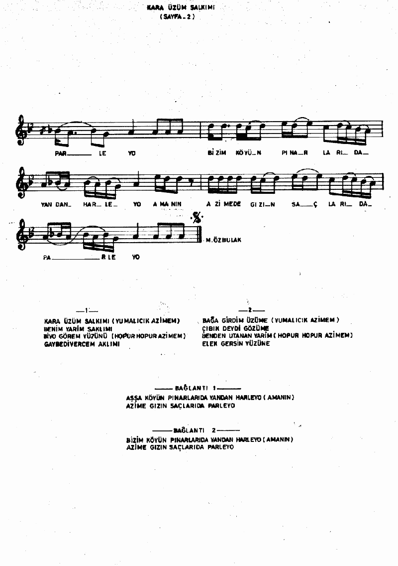 KARA ÜZÜM SALKIMI (Azize'm)