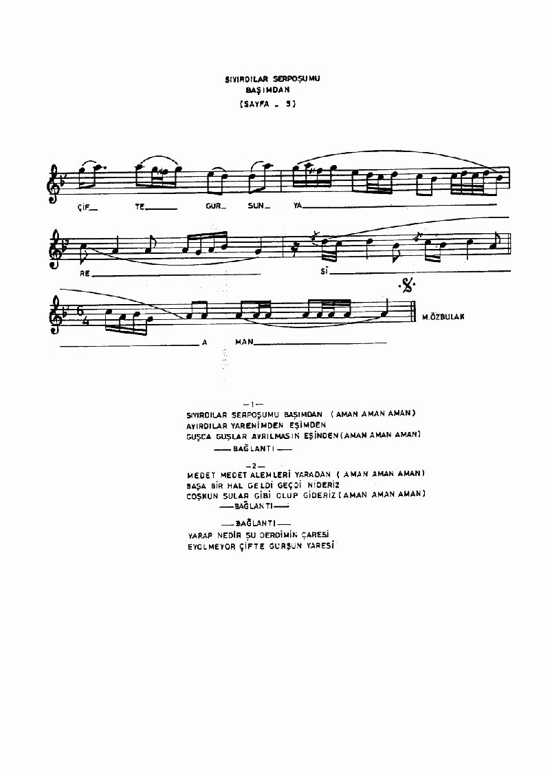 SIYIRDILAR SERPOŞUMU BAŞIMDAN