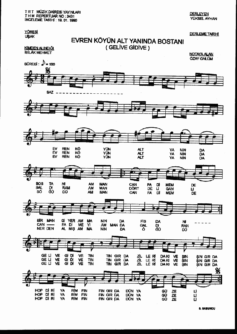 EVRENKÖY'ÜN ALT YANINDA BOSTANI