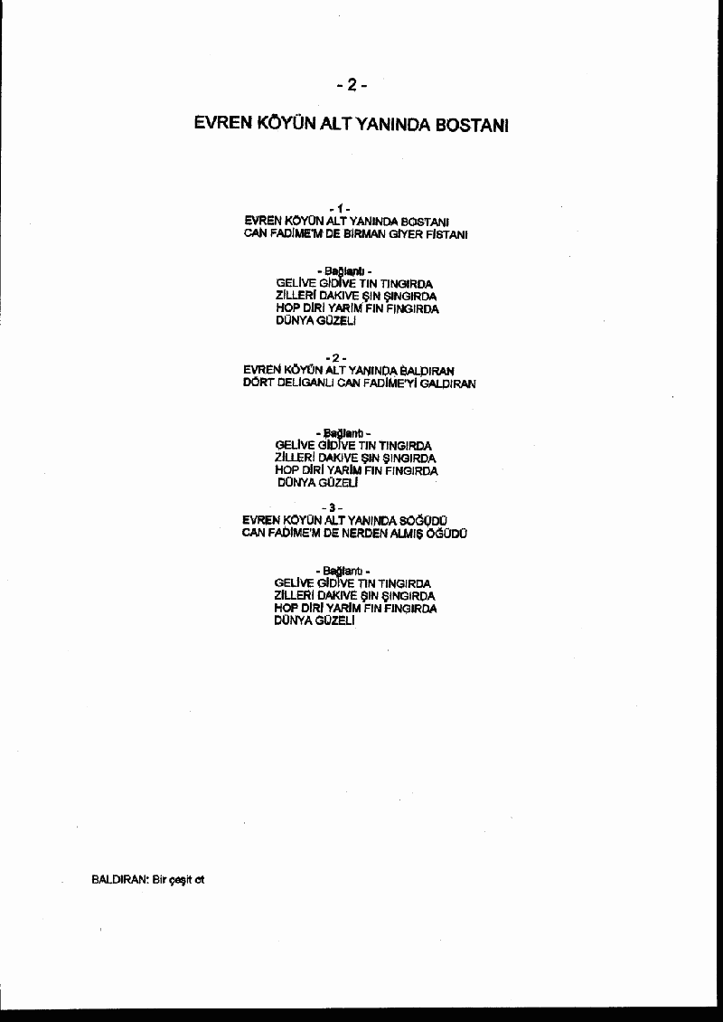 EVRENKÖY'ÜN ALT YANINDA BOSTANI