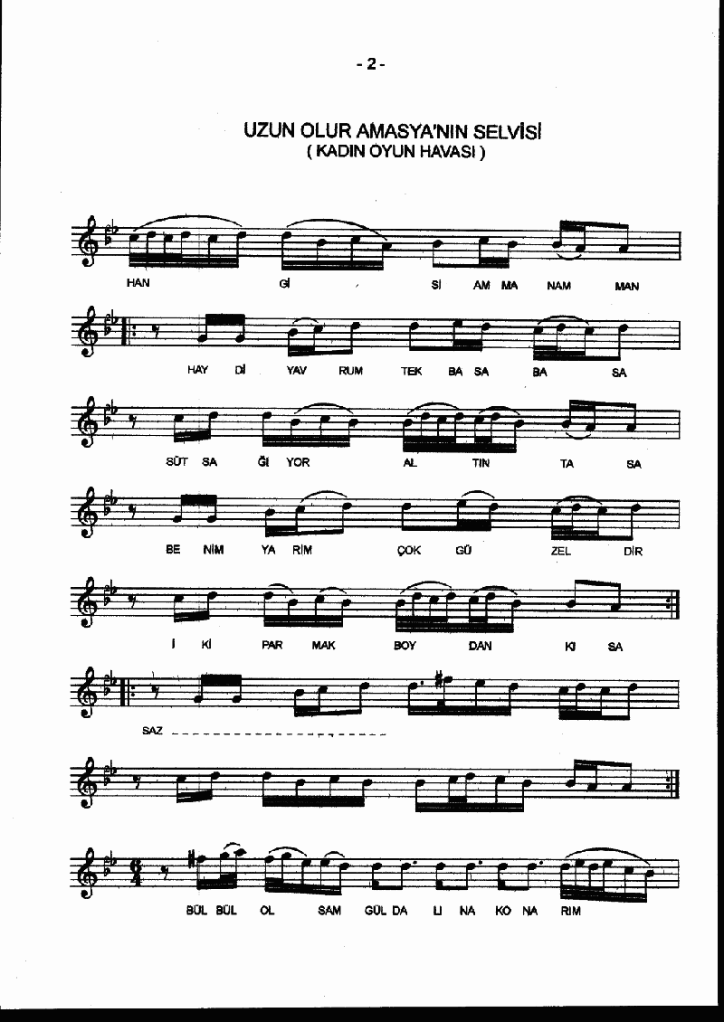 UZUN OLUR AMASYA'NIN SELVİSİ