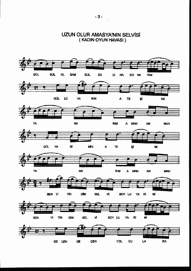 UZUN OLUR AMASYA'NIN SELVİSİ