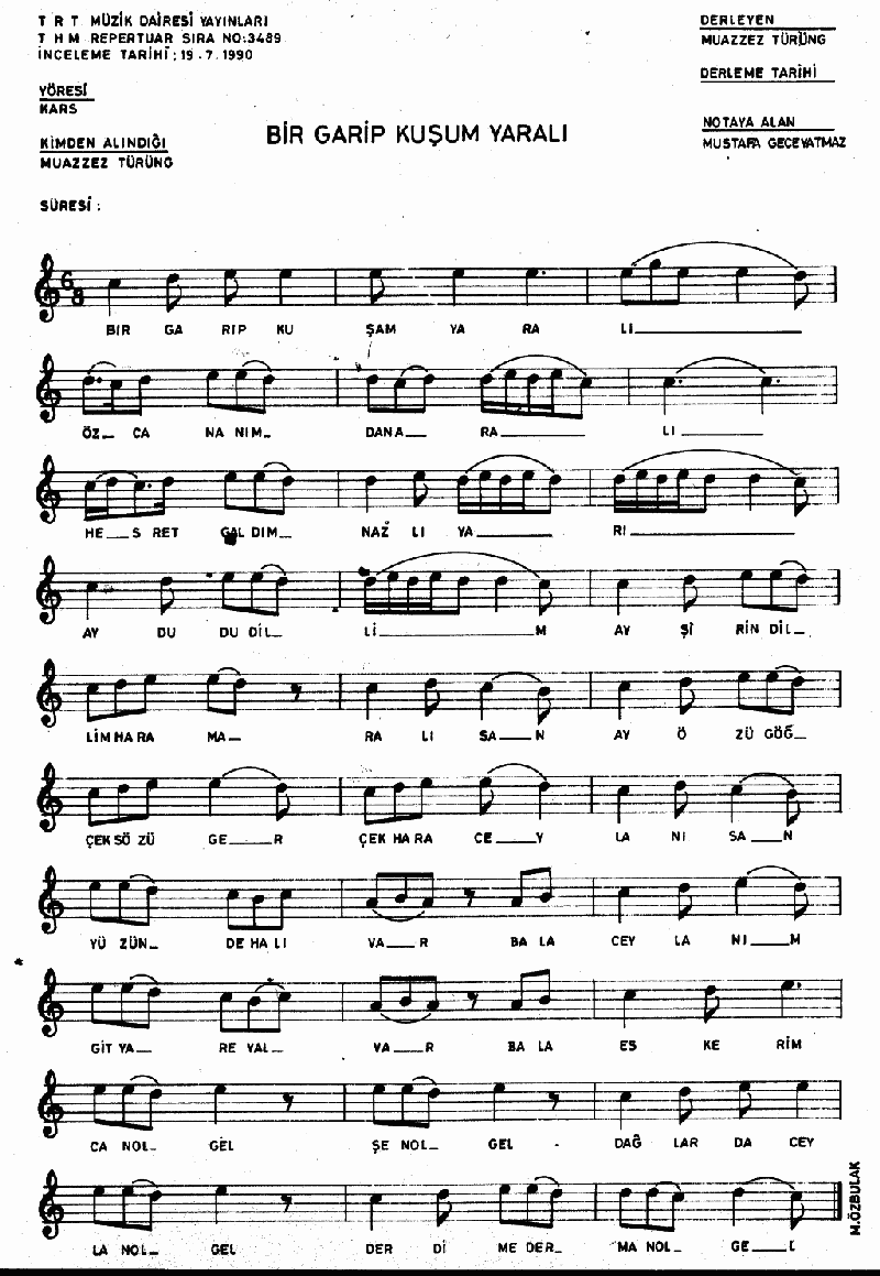 BİR GARİP KUŞUM YARALI