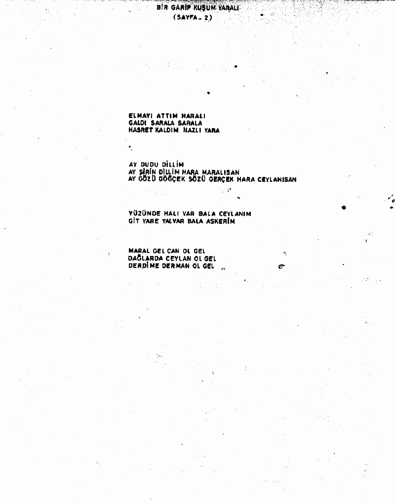 BİR GARİP KUŞUM YARALI