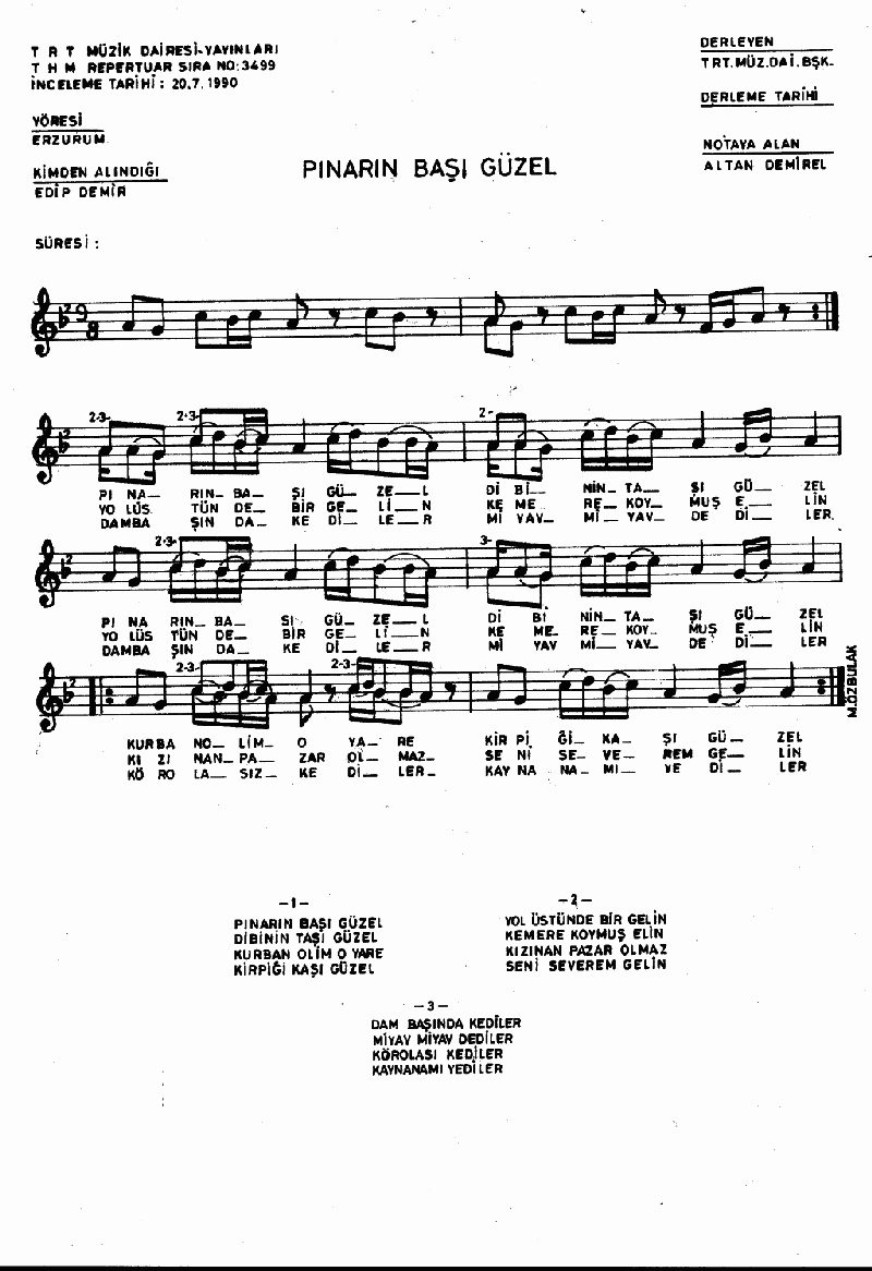 PINARIN BAŞI GÜZEL