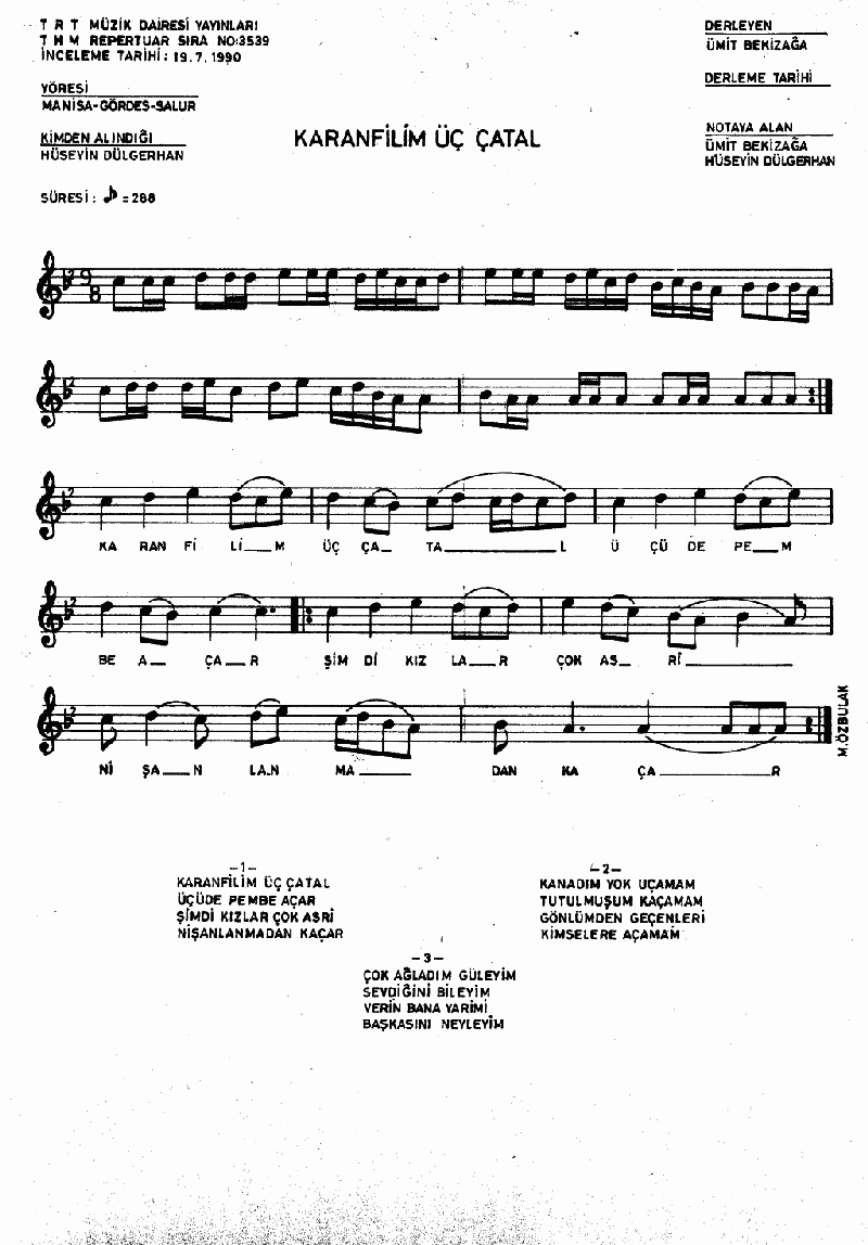 KARANFİLİM ÜÇ ÇATAL