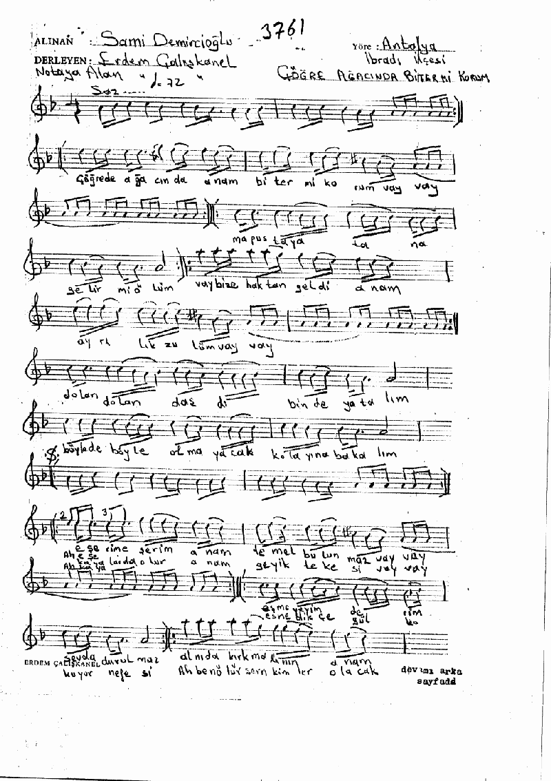 ÇÖĞRE AĞACINDA BİTER Mİ KORUM