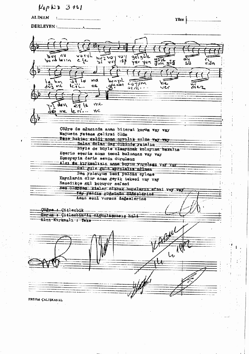 ÇÖĞRE AĞACINDA BİTER Mİ KORUM