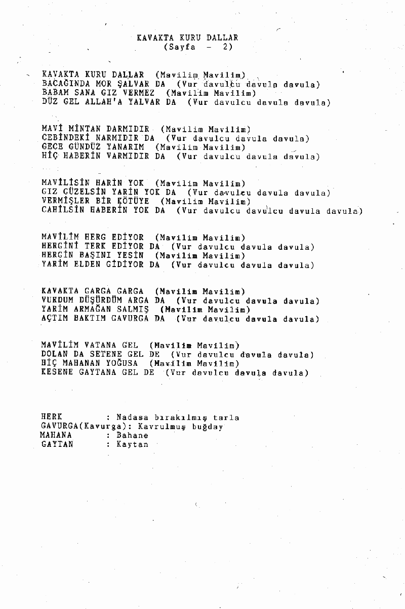 KAVAKTA KURU DALLAR (Mavilim)