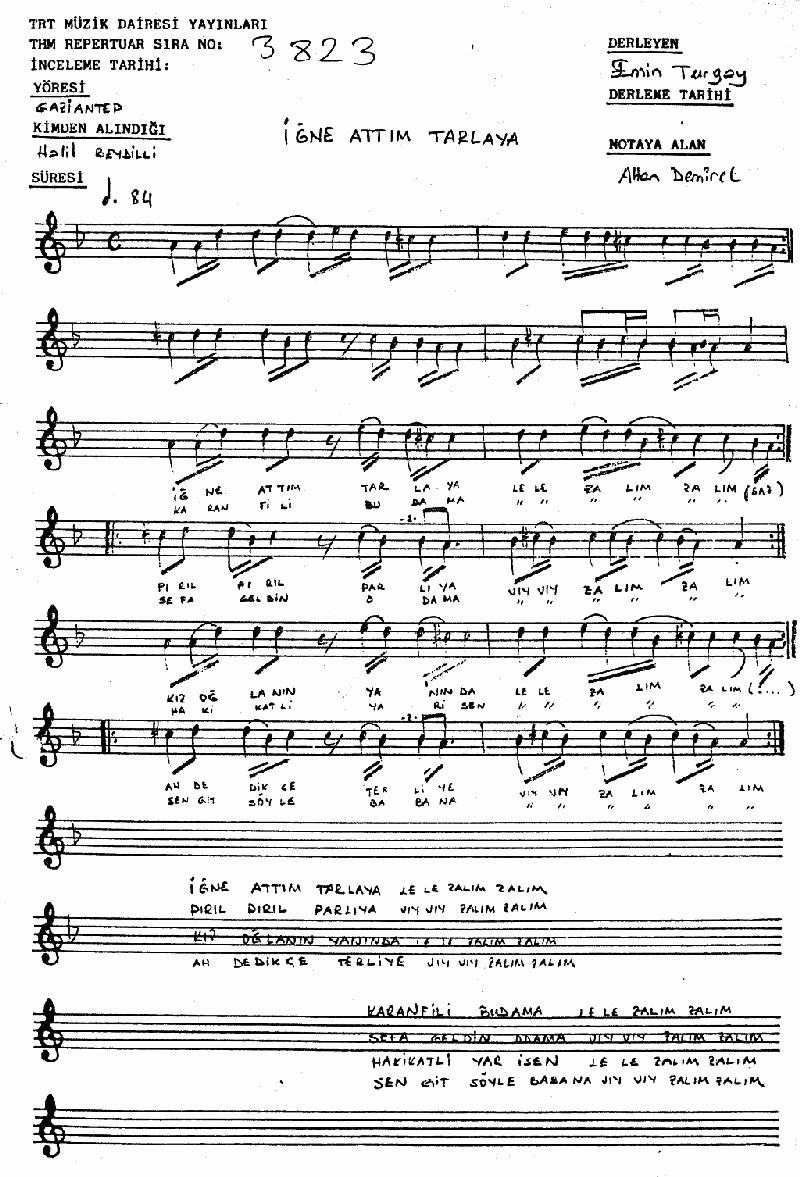 İĞNE ATTIM TARLAYA