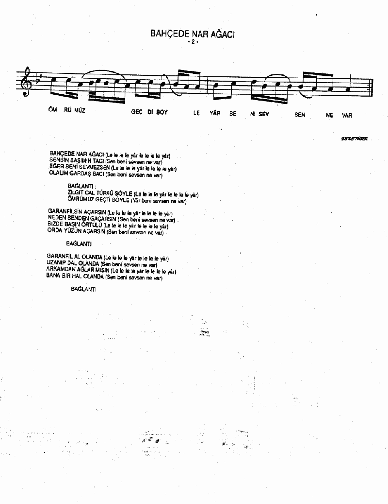 BAHÇEDE NAR AĞACI