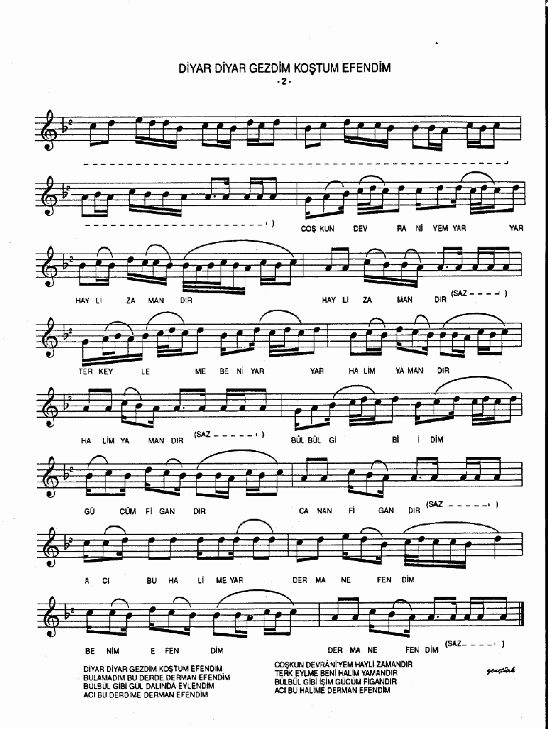 DİYAR DİYAR GEZDİM