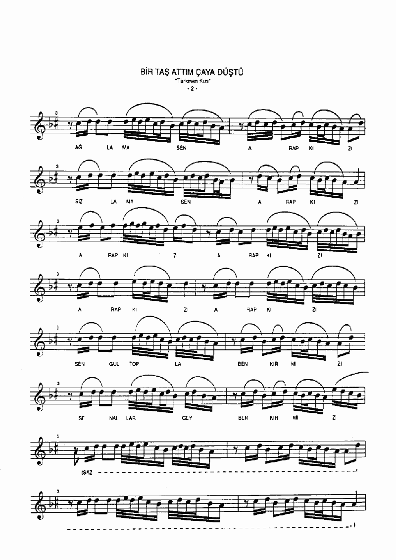 BİR TAŞ ATTIM ÇAYA DÜŞTÜ - I