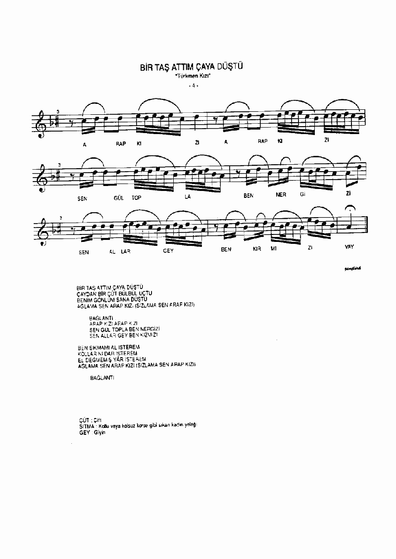 BİR TAŞ ATTIM ÇAYA DÜŞTÜ - I