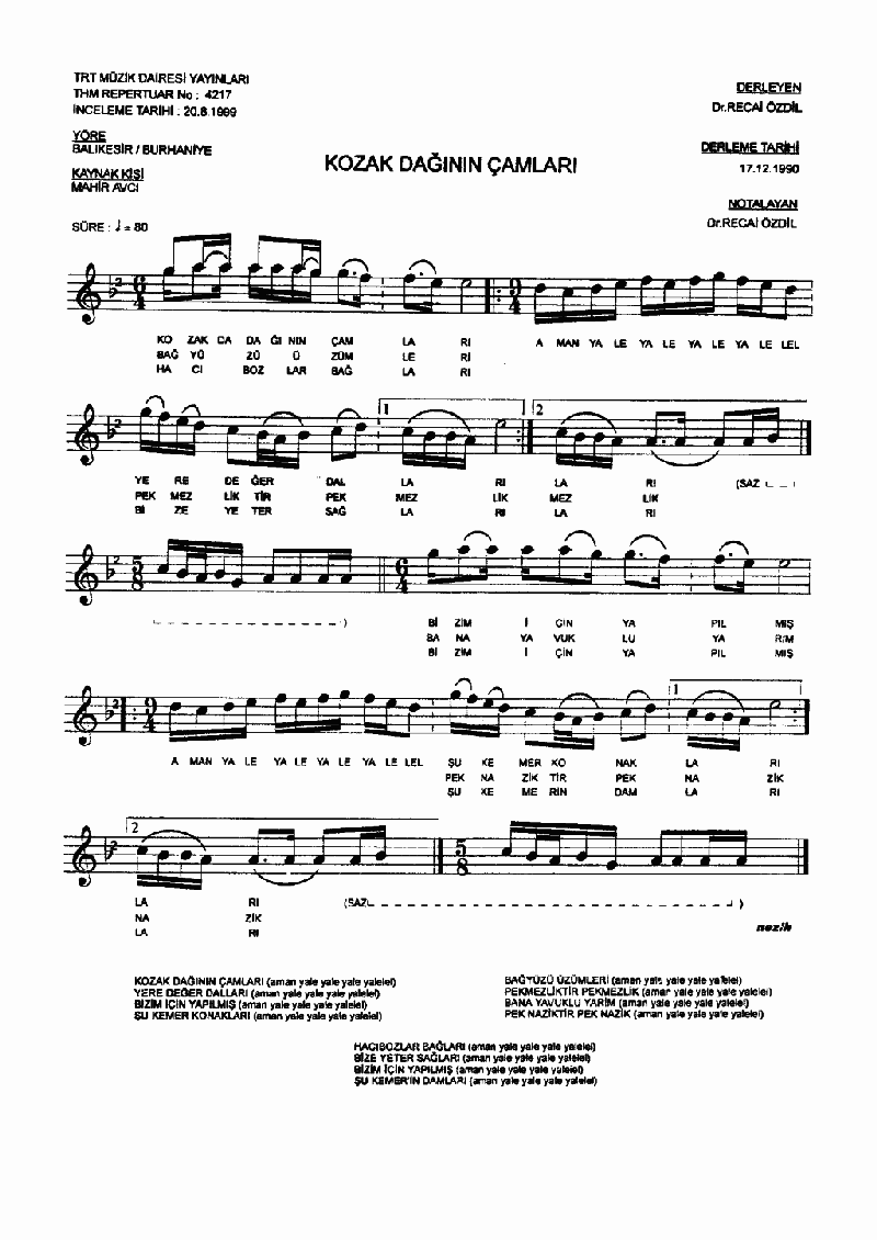 KOZAK DAĞININ ÇAMLARI