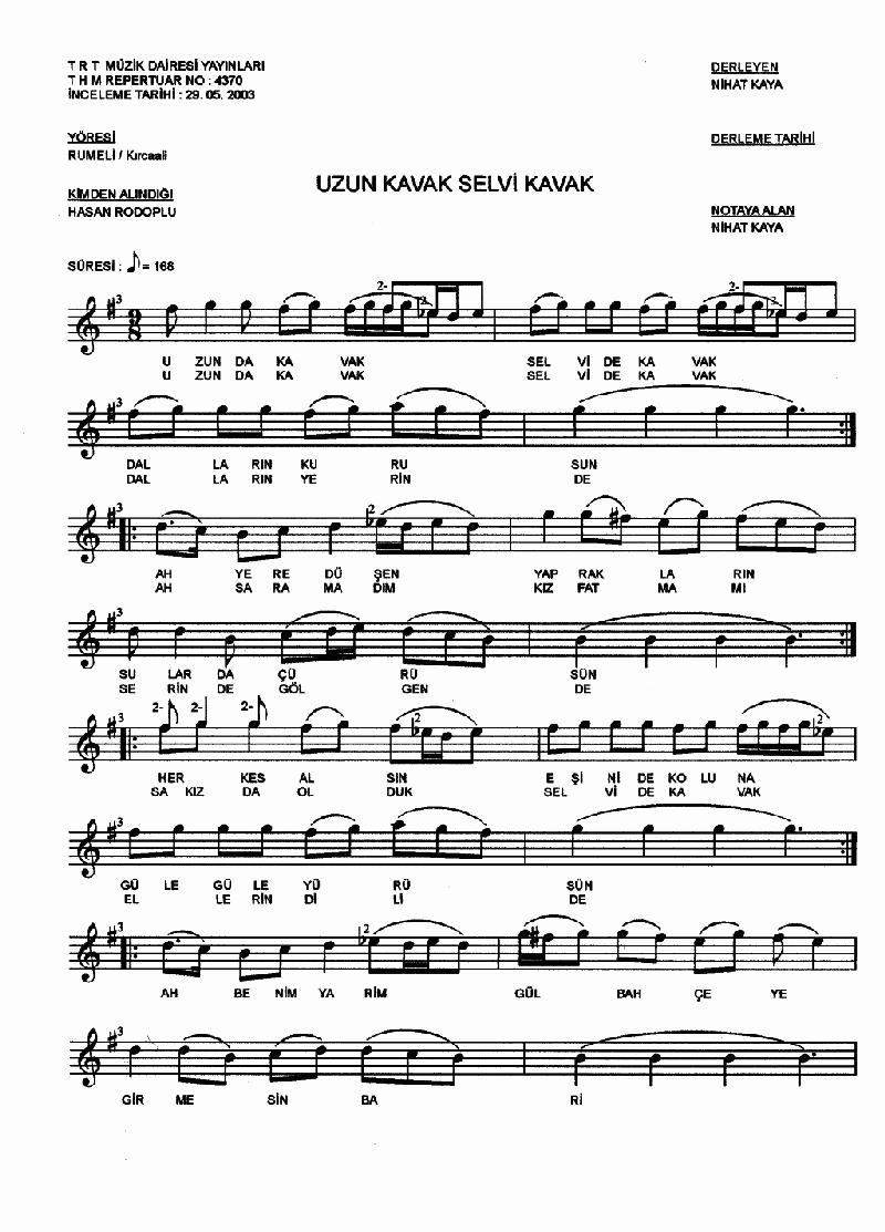 UZUN KAVAK SELVİ KAVAK