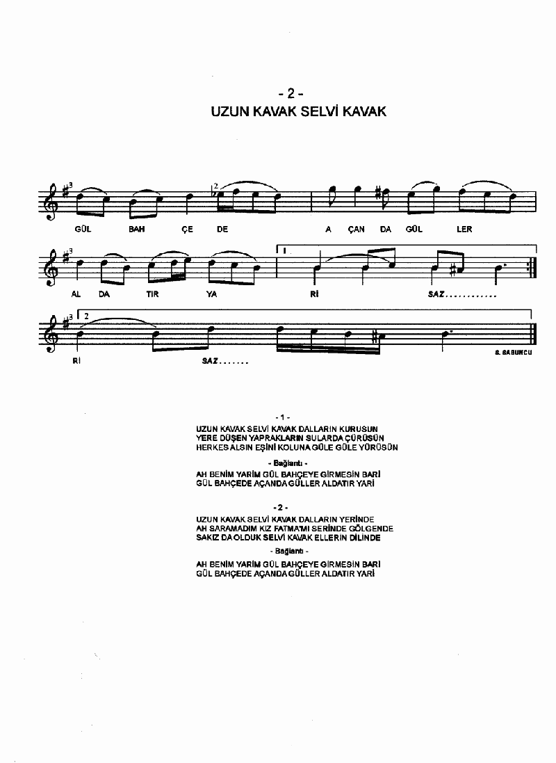 UZUN KAVAK SELVİ KAVAK