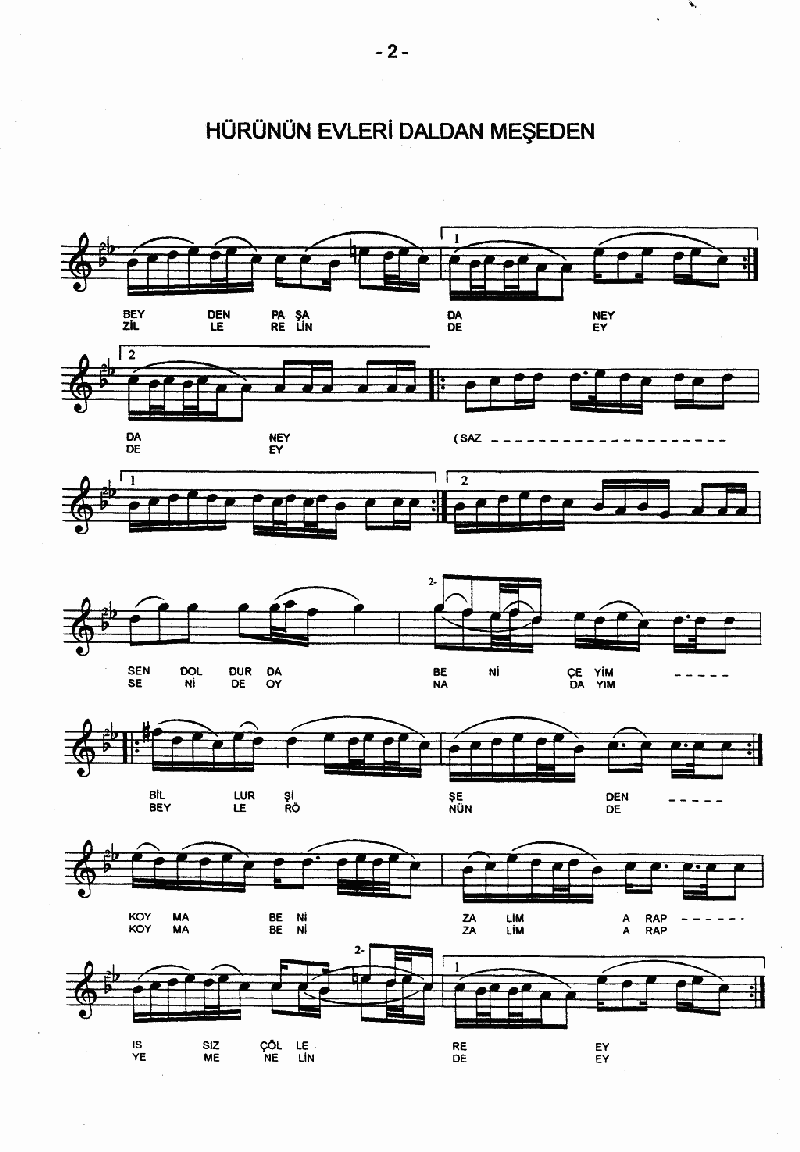 HÜRÜNÜN EVLERİ DALDAN MEŞEDEN